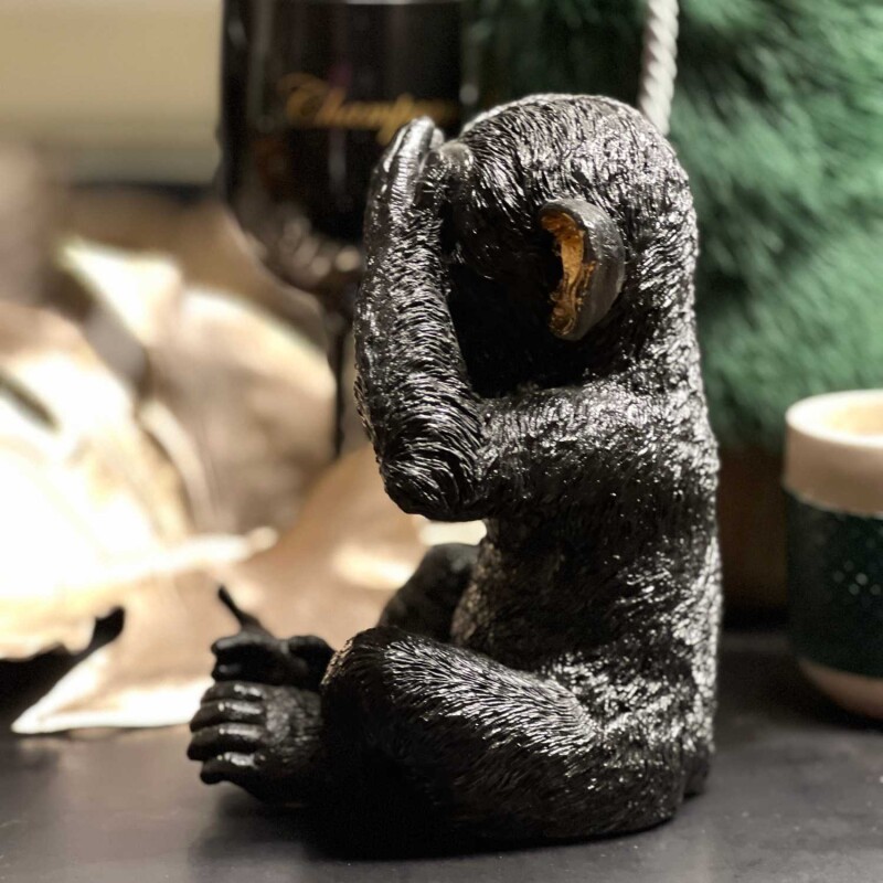 Cor Mulder Die Affen sind los schwarz 20 cm Nichts Sehen