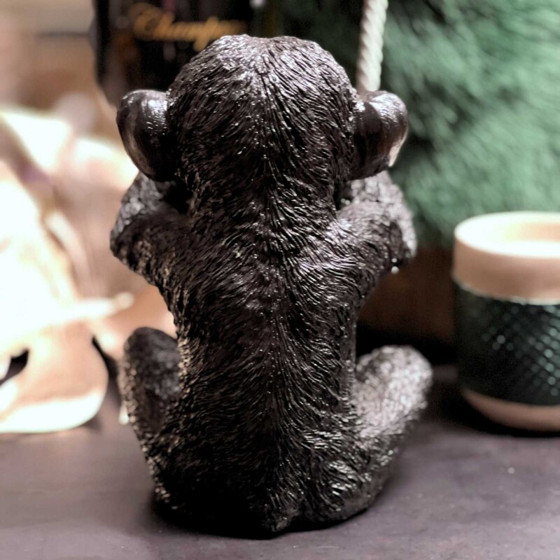 Cor Mulder Die Affen sind los schwarz 20 cm Nichts Sehen