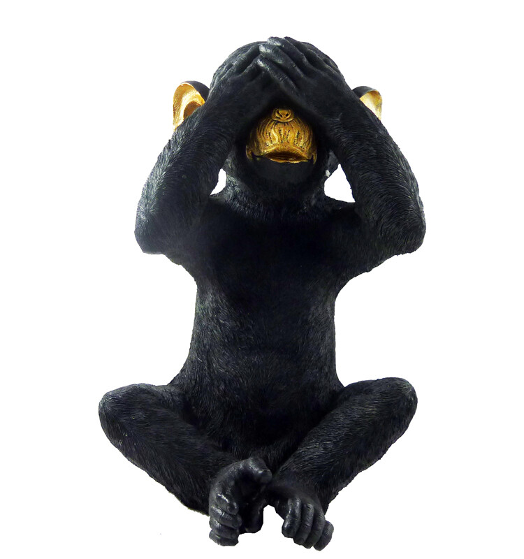 Cor Mulder Die Affen sind los schwarz 20 cm Nichts Sehen