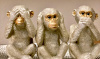 Die Affen sind los | champagner | 35 cm 3-er Set 